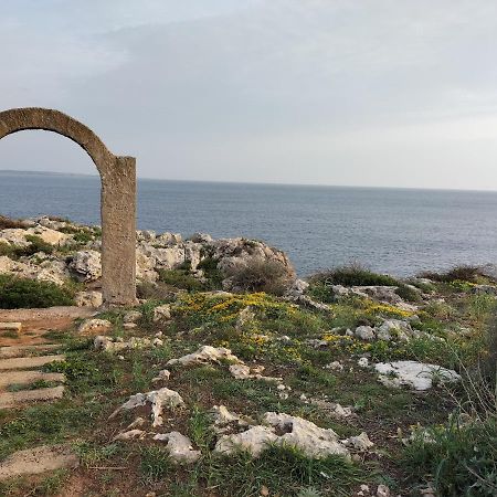 Grupoandria Villa Julia カラ・エン・フォルカト エクステリア 写真